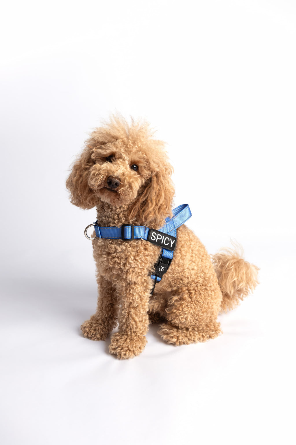 The Barkee Harness